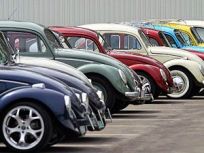 vw bugs