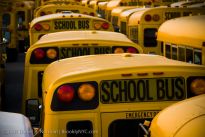 school buses