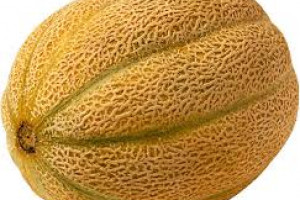 cantalope