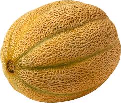 cantalope