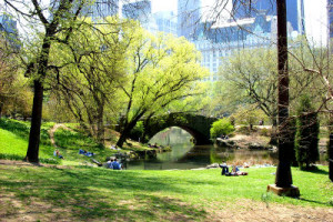 city spring new york photo cc