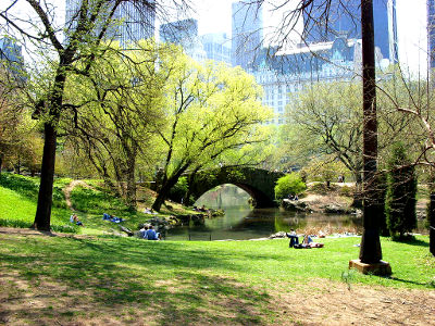 city spring new york photo cc