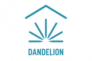 dandelion energy